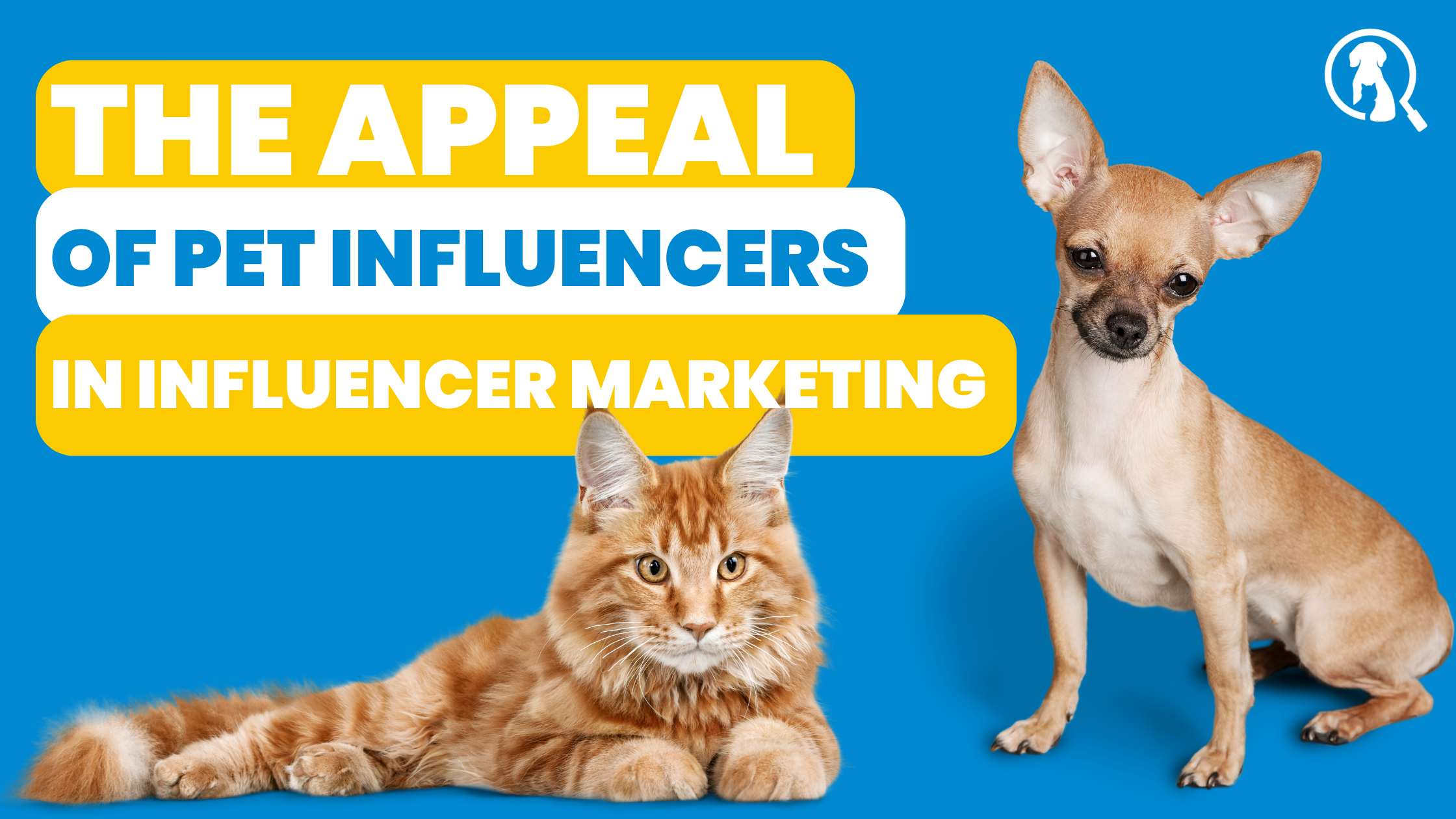 The Appeal of Pet Influencers in Influencer Marketing