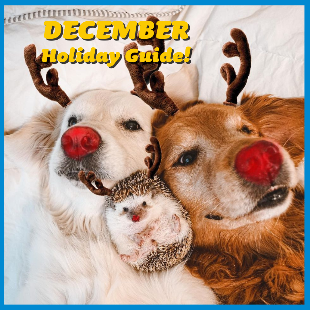 Happy Holidays from Pets on Q! Here is our December Holiday Guide to help inspire your content creation!