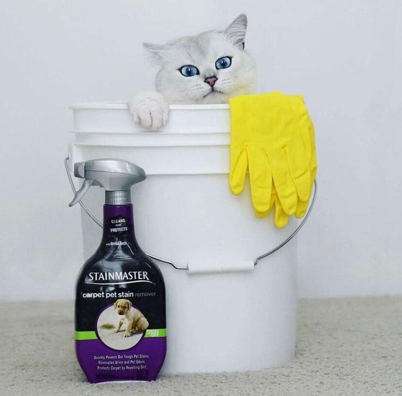 Items toxic to Pets