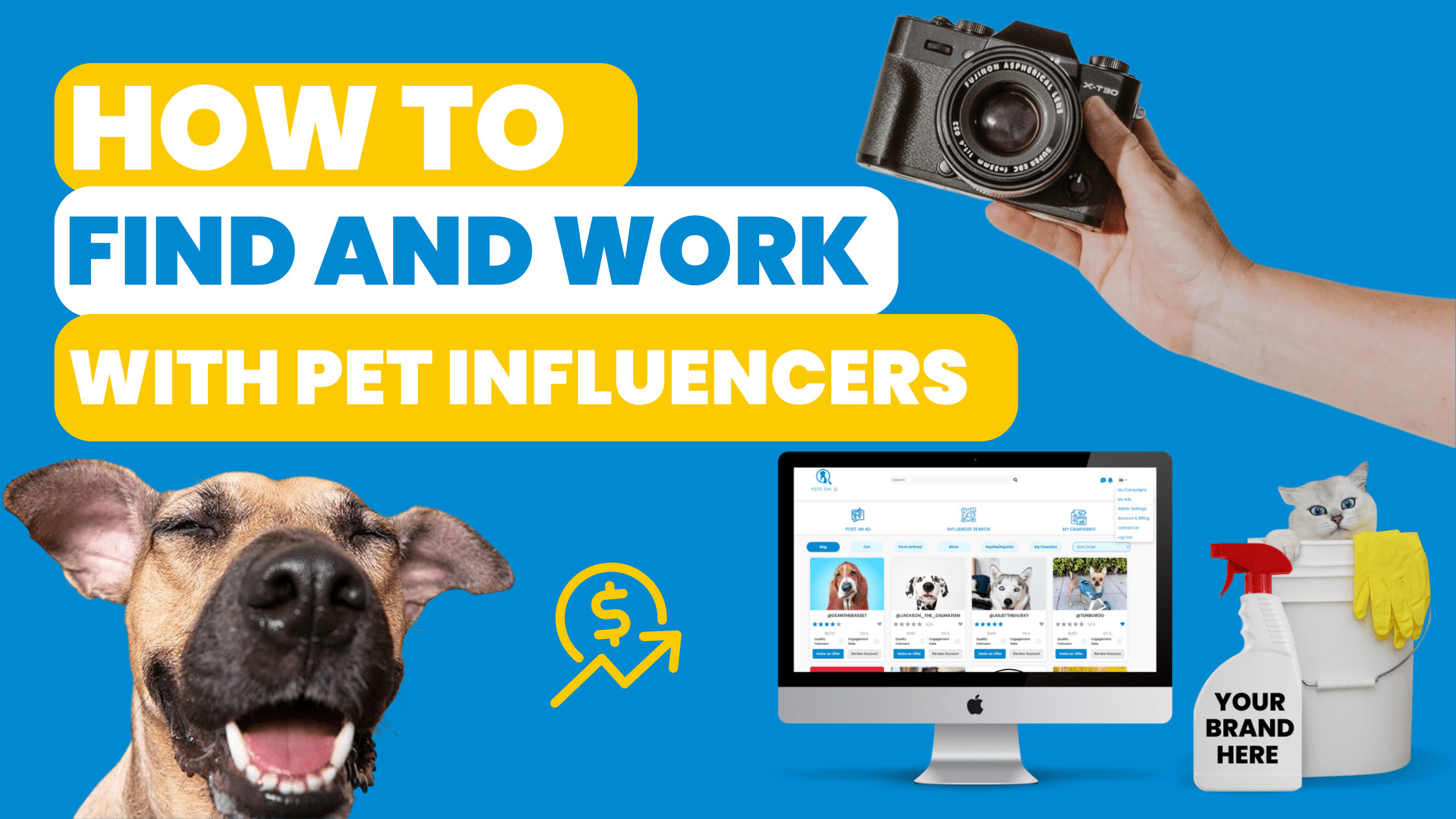 Find & Work With Pet Influencers