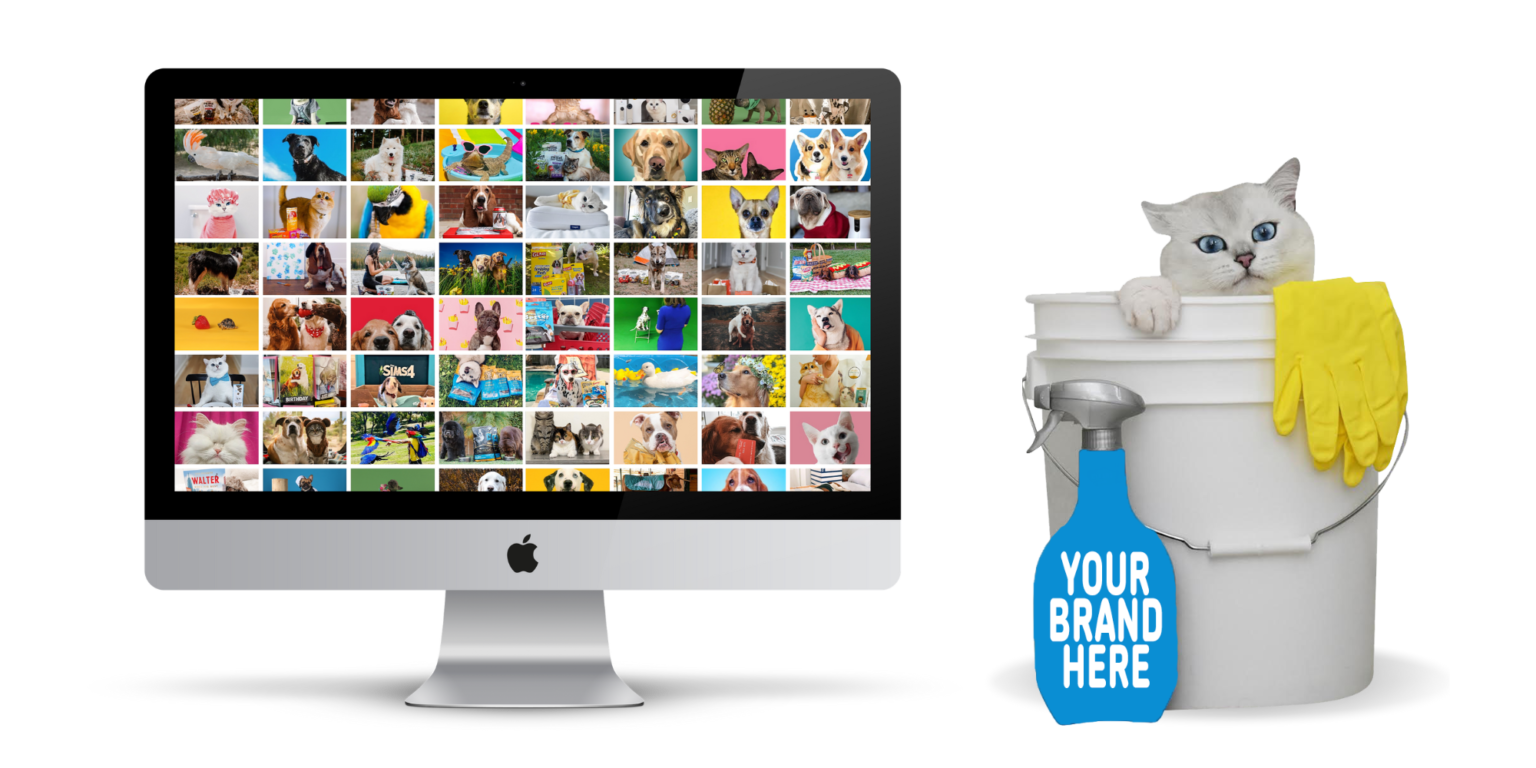 Pets on Q Pet Influencers & Animal Actors