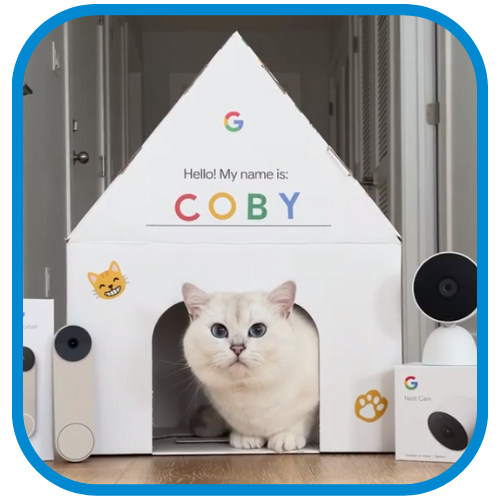 Coby The Cat For Google Nest