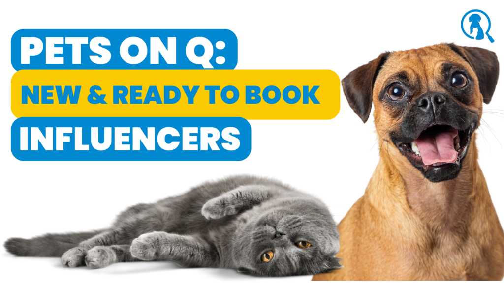 New Pet Influencers in Pets On Q's Network