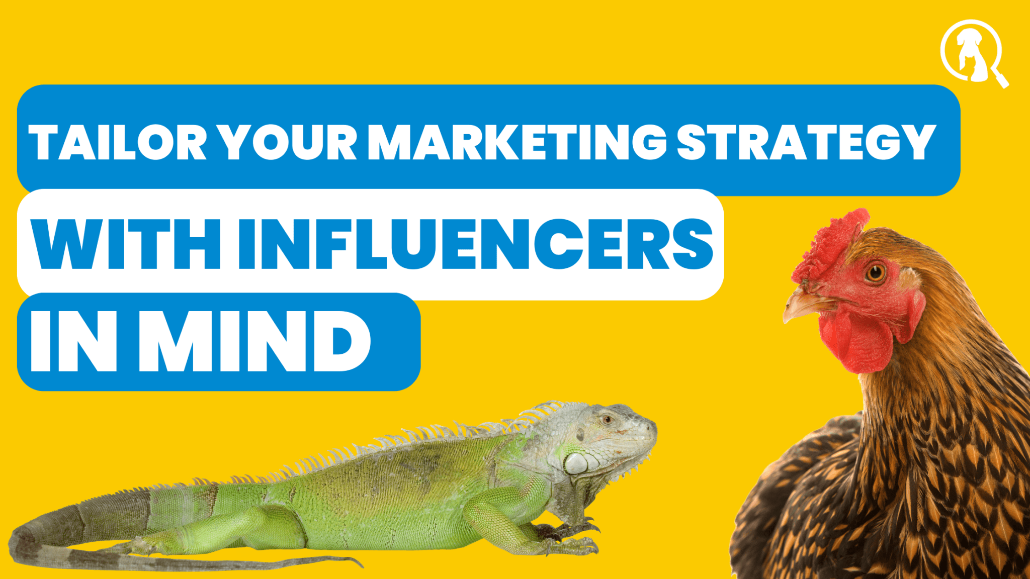 Tips For Successful Pet Friendly Brands tips-for-successful-pet-friendly-brands