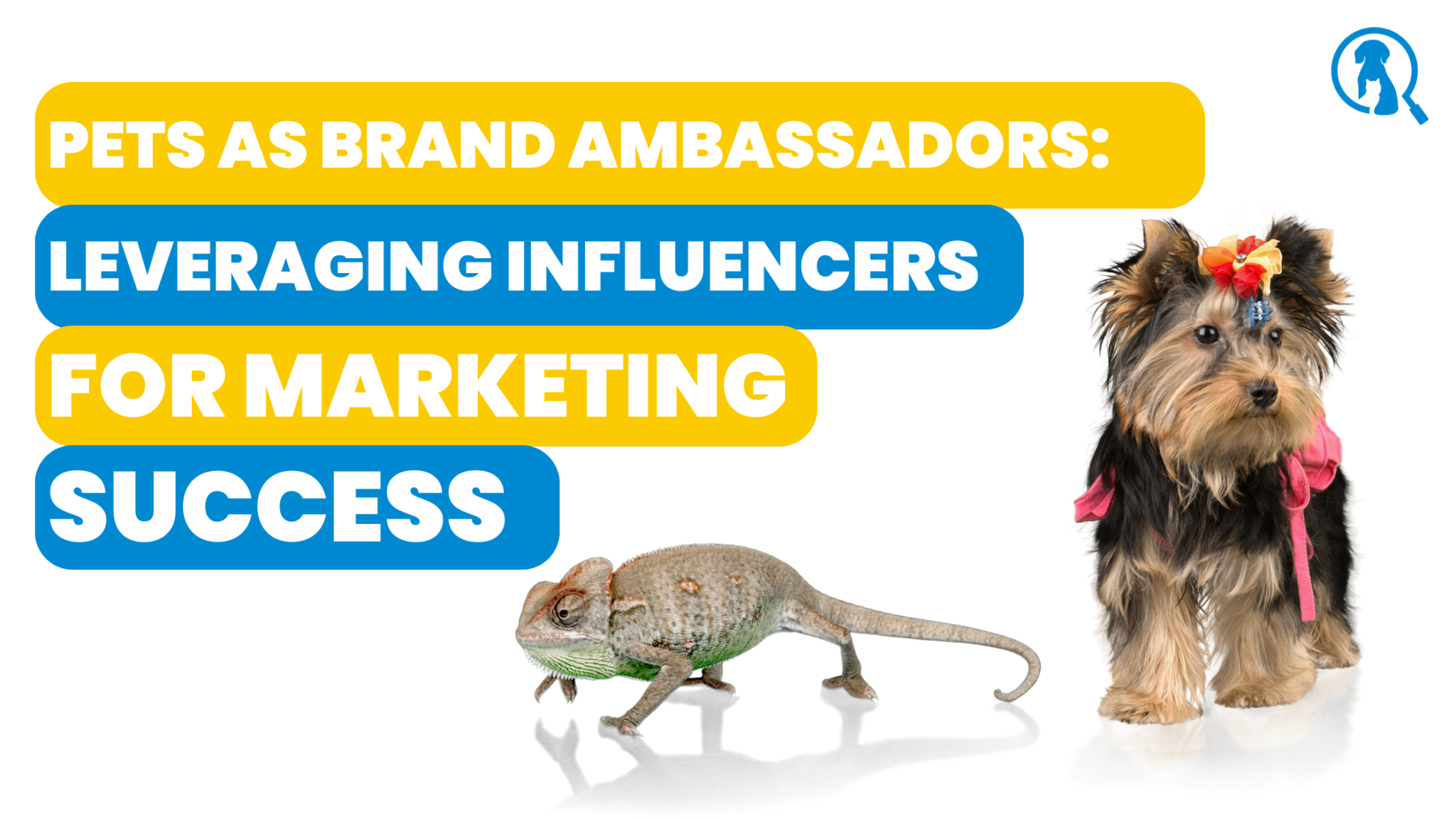 Pet Influencers and Animal Actors Latest News and Blog