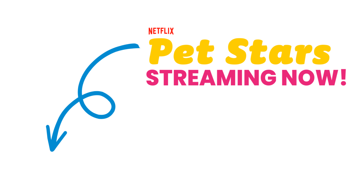 Pet Influencer Agency, Animal Talent Agency, Dog Casting