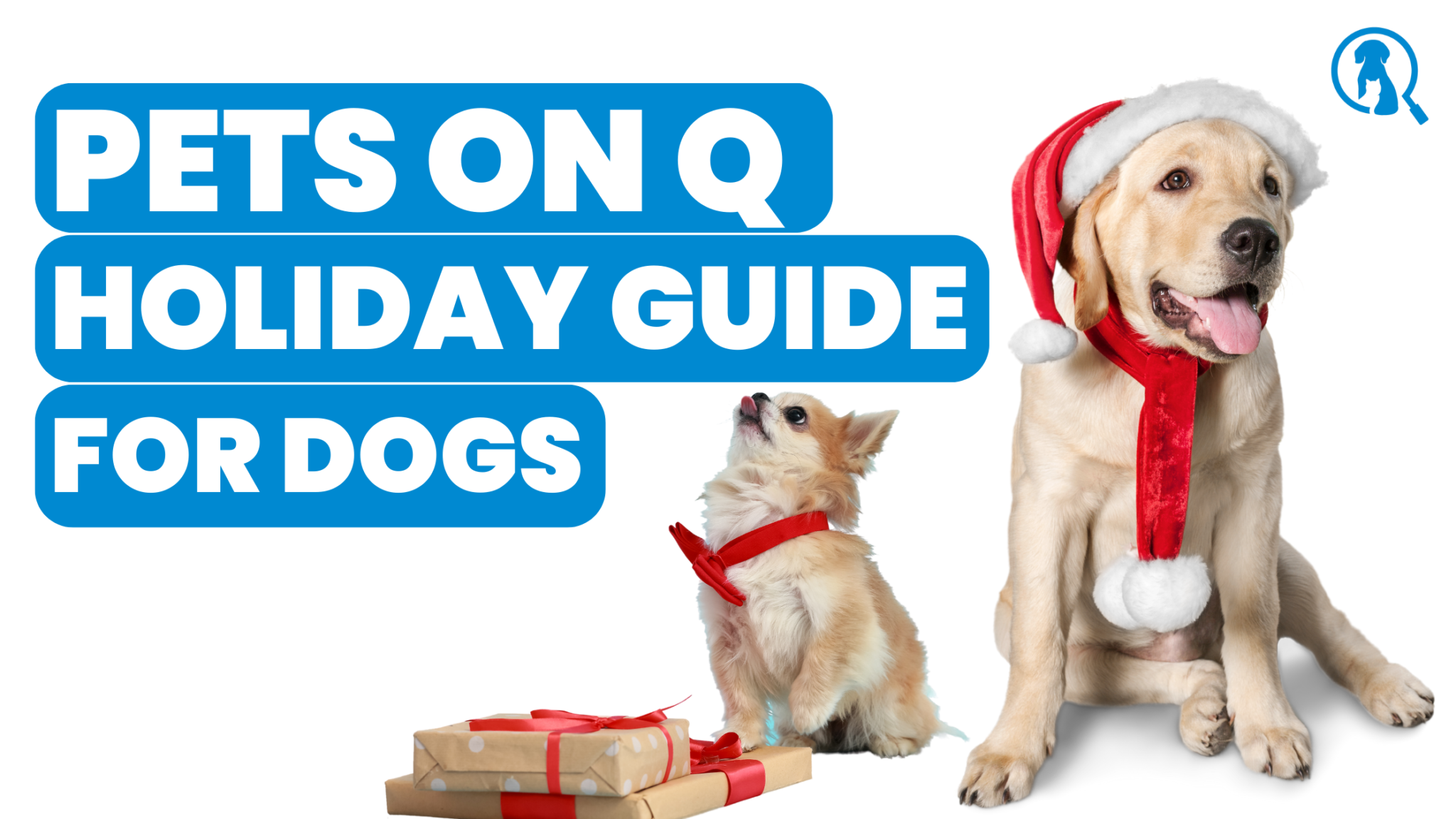 Pets on Q Dog Holiday Guide 2023