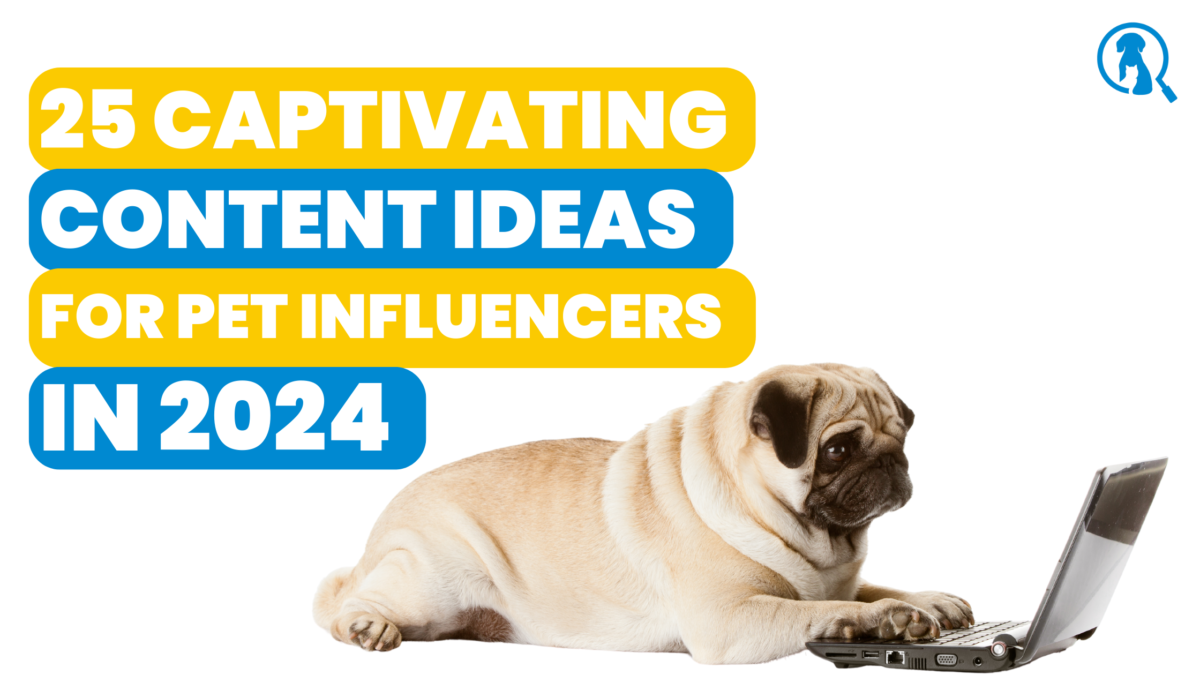 25 content ideas for pet influencers in 2024